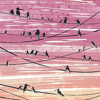 Birds On Wires Illustration