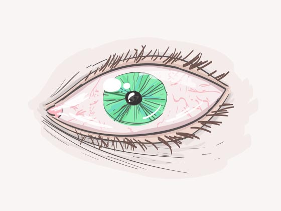 Eye Illustration