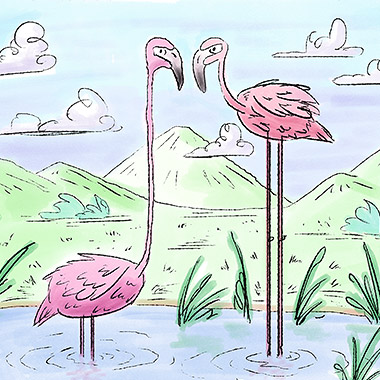 Flamingos Illustration