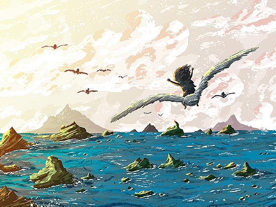 Seagull Journey